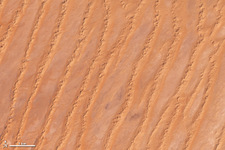 Illustration for article titled The Shifting Sands Of The Sahara Are A Lesson In Dune DynamicsÂ